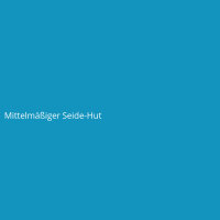 Mittelmäßiger Seide-Hut